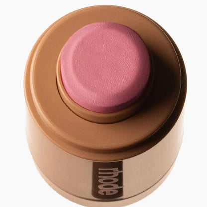 Rhode Pocket Blush Piggy